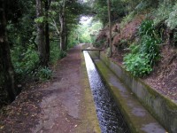 /album/fotogalerie-3-den/levada-encumeada-jpg/